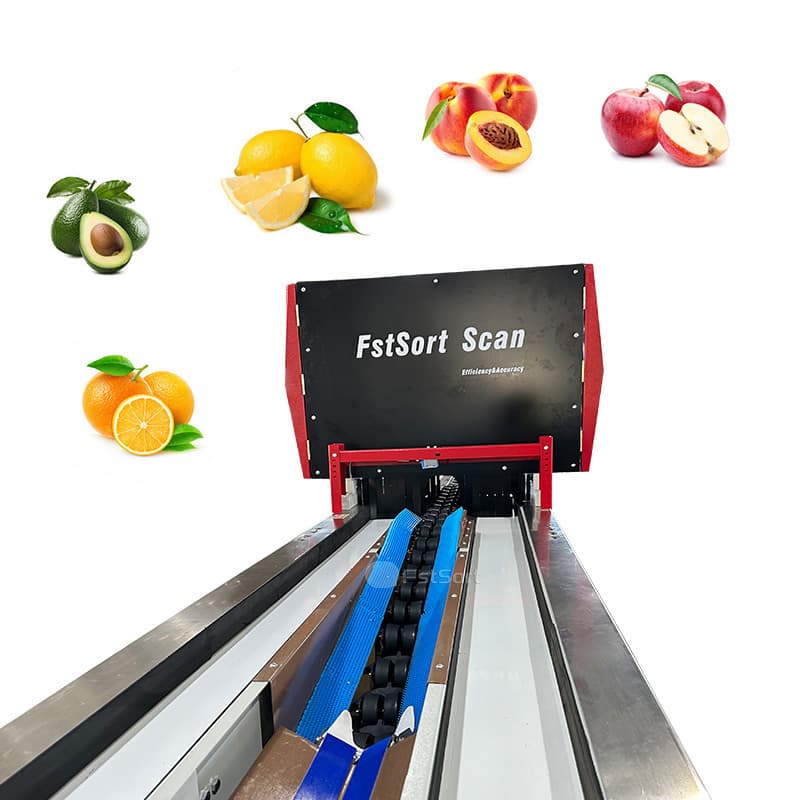 images/1765939325772Zhengzhou-First-Industry-Co-Ltd- (3).jpg